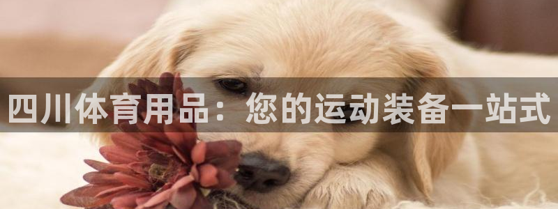 欧陆娱乐怎么注册：四川体育用品：您的运动装备一站式