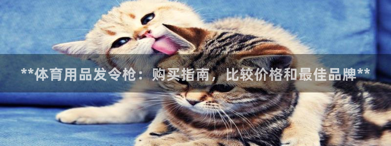 欧陆娱乐能不能玩：**体育用品发令枪：购买指南，比较