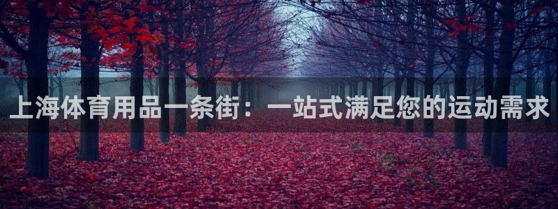 欧陆娱乐能提现嘛安全吗：上海体育用品一条街：一站式满