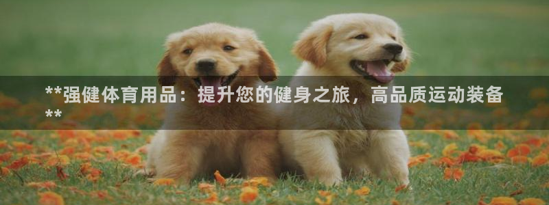 欧陆娱乐官方网站入口：**强健体育用品：提升您的健身
