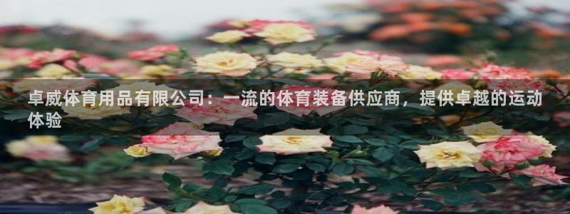 欧陆娱乐平台登陆地址是什么：卓威体育用品有限公司：一