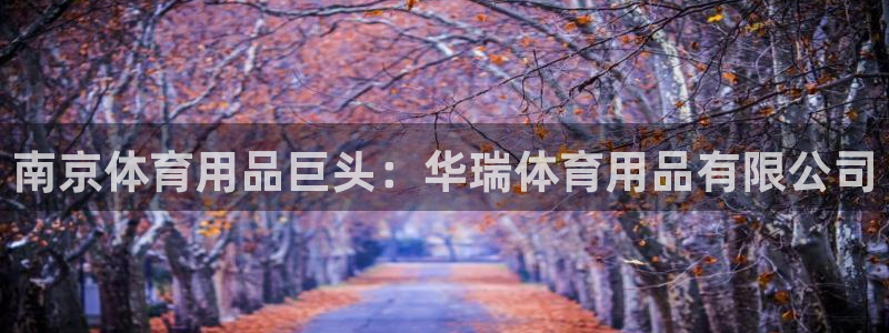 重庆欧陆娱乐有限公司：南京体育用品巨头：华瑞体育用品