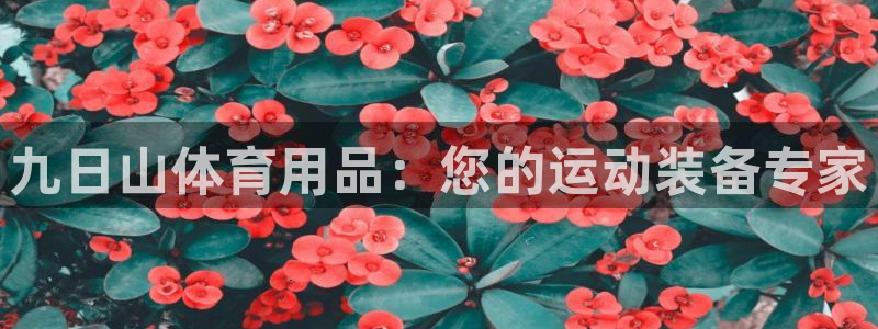 欧陆注册登录入口：九日山体育用品：您的运动装备专家