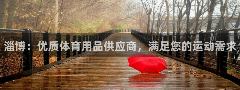 欧陆娱乐客服：淄博：优质体育用品供应商，满足您的运动