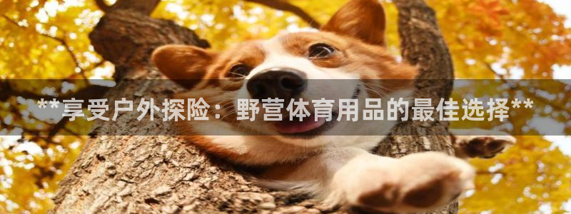 欧陆娱乐的故事：**享受户外探险：野营体育用品的最佳