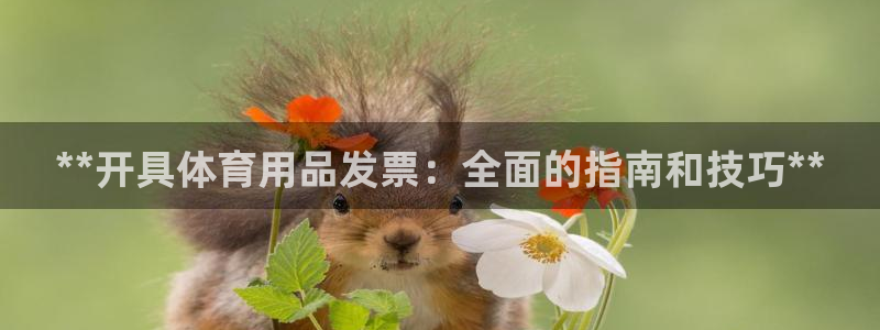 欧陆娱乐是干什么的：**开具体育用品发票：全面的指南
