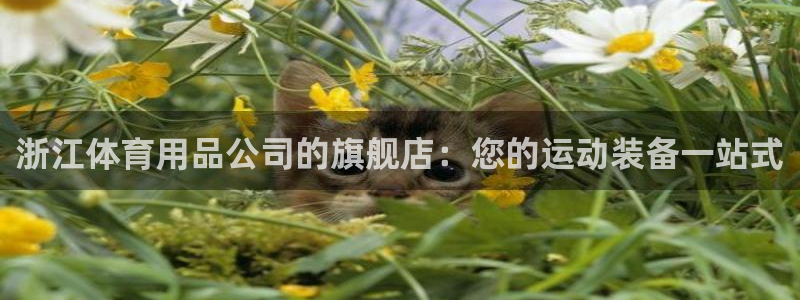欧陆娱乐是正规平台吗安全吗知乎推荐：浙江体育用品公司