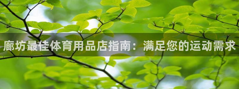 欧陆娱乐登陆平台下载：廊坊最佳体育用品店指南：满足您