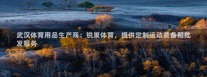 欧陆娱乐是正规平台吗安全吗知乎：武汉体育用品生产商：