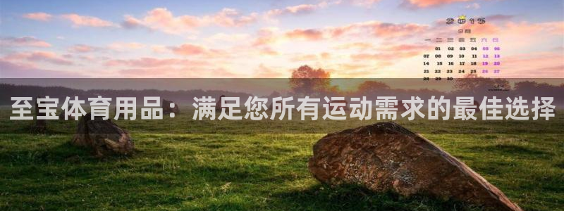 欧陆娱乐提现多久到账：至宝体育用品：满足您所有运动需