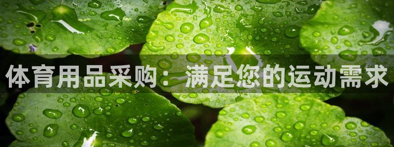 欧陆娱乐线路测速：体育用品采购：满足您的运动需求