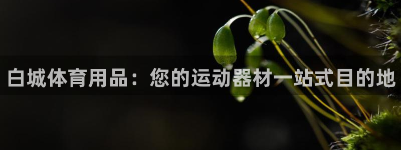 欧陆娱乐信誉如何：白城体育用品：您的运动器材一站式目