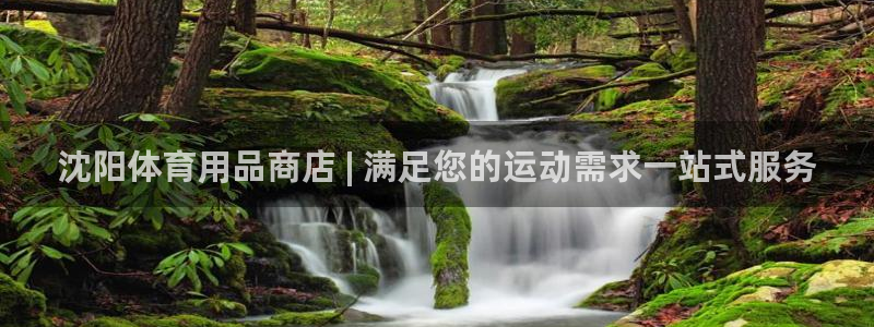 欧陆娱乐代理多少个点位合适：沈阳体育用品商店 | 满