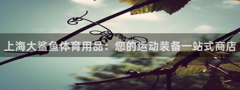 欧陆公司在哪里：上海大鲨鱼体育用品：您的运动装备一站