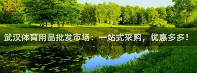 欧陆娱乐登陆平台有哪些：武汉体育用品批发市场：一站式