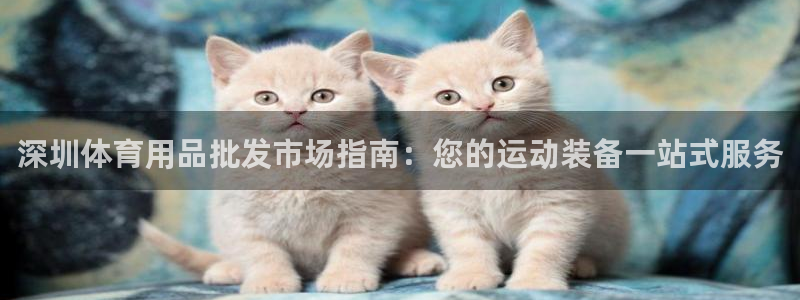 欧陆娱乐怎么注册：深圳体育用品批发市场指南：您的运动