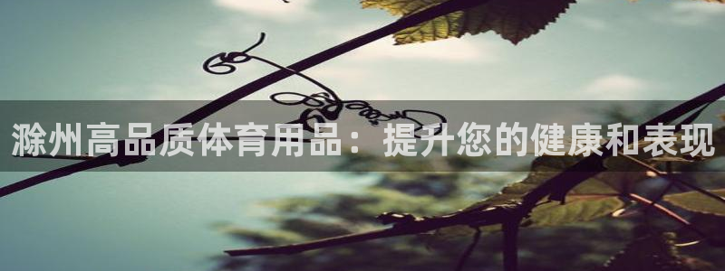 欧陆娱乐测速：滁州高品质体育用品：提升您的健康和表现