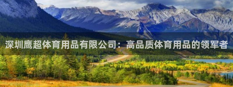 欧陆娱乐代理多少个点位可以赚钱：深圳鹰超体育用品有限