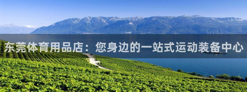 欧陆娱乐累计盈利多少就会被劝退呢：东莞体育用品店：您