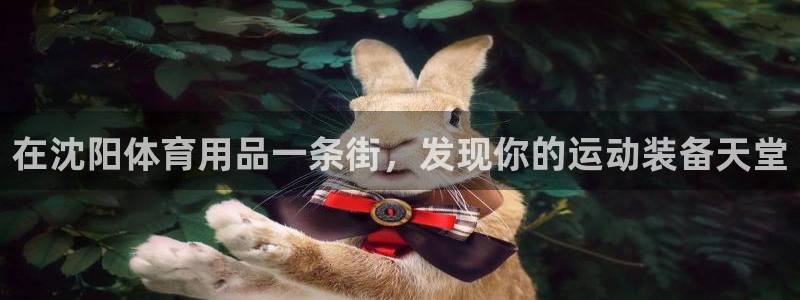 欧陆娱乐挂机怎么玩：在沈阳体育用品一条街，发现你的运