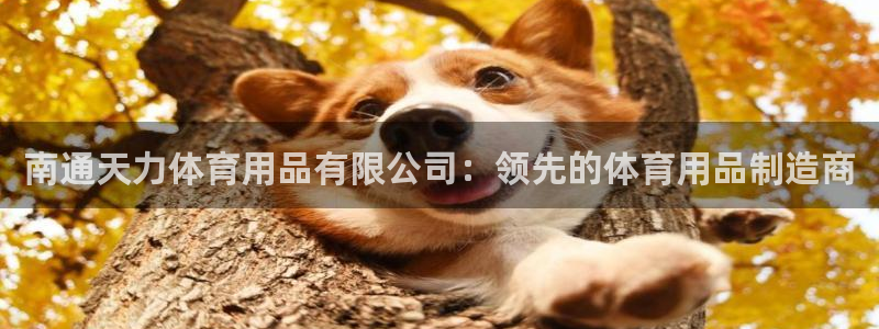 欧陆娱乐登录官网网址：南通天力体育用品有限公司：领先