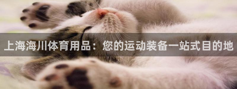 欧陆娱乐是正规平台吗安全吗可信吗是真的吗：上海海川体