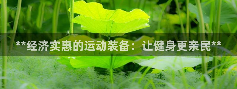 欧陆娱乐是正规平台吗安全吗可信吗：**经济实惠的运动