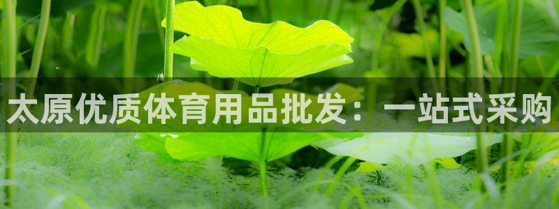欧陆娱乐官网网址是多少：太原优质体育用品批发：一站式