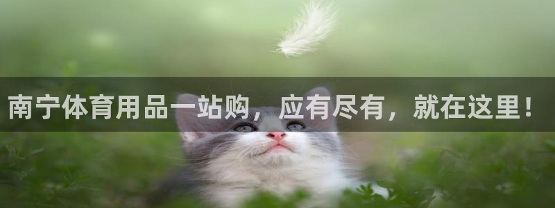 欧陆娱乐测试官网：南宁体育用品一站购，应有尽有，就在