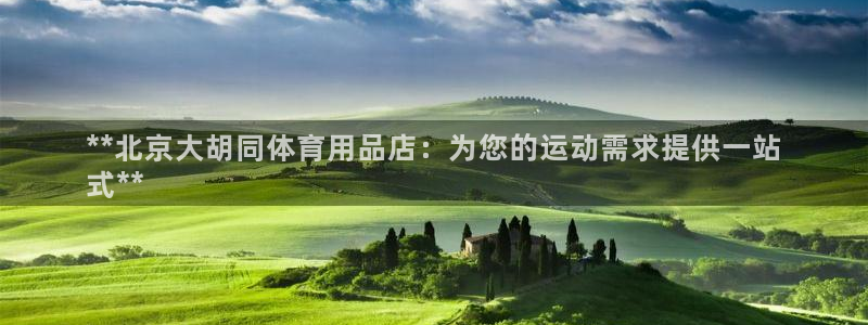 欧陆娱乐突然登录不了了：**北京大胡同体育用品店：为
