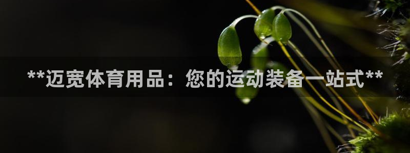 欧陆娱乐计划预测软件下载