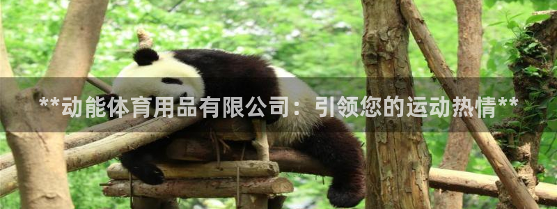 欧陆娱乐总代理是谁：**动能体育用品有限公司：引领您