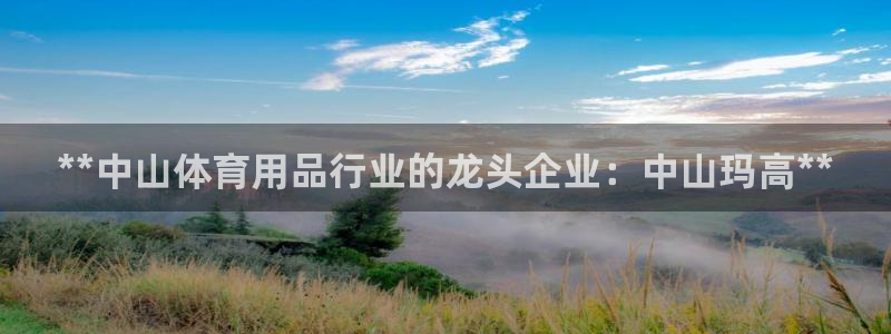 欧陆娱乐能提现嘛现在：**中山体育用品行业的龙头企业
