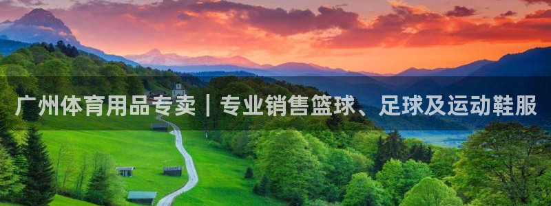 欧陆娱乐登录平台下载：广州体育用品专卖｜专业销售篮球