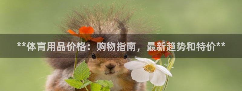 重庆欧陆娱乐有限公司电话：**体育用品价格：购物指南