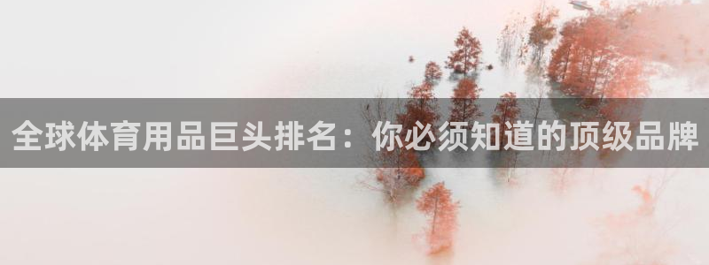 欧陆娱乐登录平台有哪些：全球体育用品巨头排名：你必须知道的顶