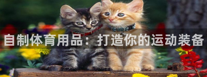 欧陆娱乐公司产品介绍大全：自制体育用品：打造你的运动