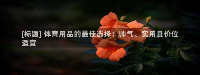 欧陆娱乐注册芯7o777ts=0：[标题] 体育用品