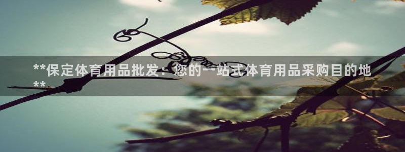 欧陆娱乐游戏：**保定体育用品批发：您的一站式体育用