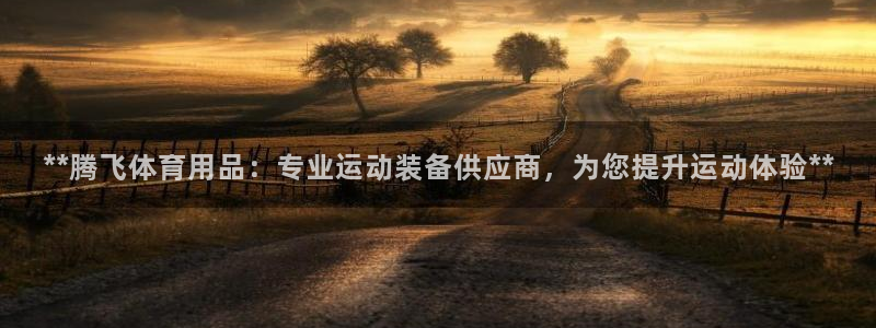 欧陆娱乐图片：**腾飞体育用品：专业运动装备供应商，
