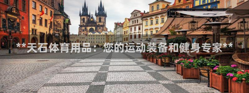 欧陆娱乐登录测速软件：**天石体育用品：您的运动装备和健身专