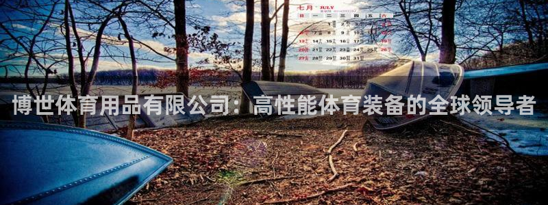 欧陆娱乐是正规平台吗安全吗可靠吗知乎：博世体育用品有