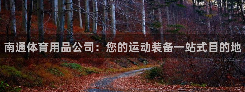 欧陆是什么平台：南通体育用品公司：您的运动装备一站式