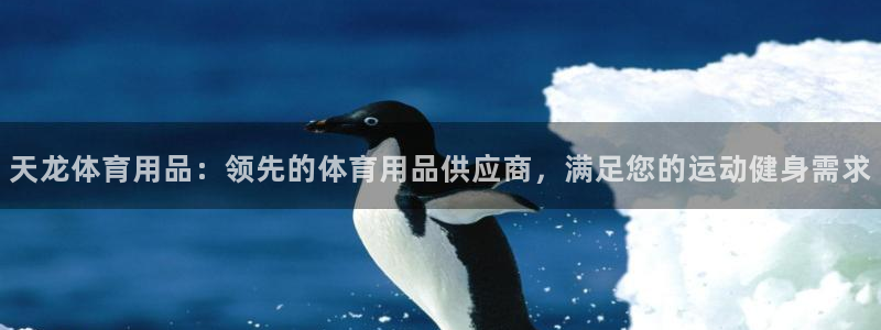 欧陆娱乐登陆平台：天龙体育用品：领先的体育用品供应商
