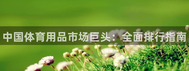 欧陆娱乐测试网站：中国体育用品市场巨头：全面排行指南