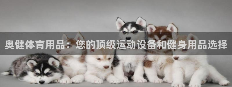 欧陆娱乐打什么方案：奥健体育用品：您的顶级运动设备和