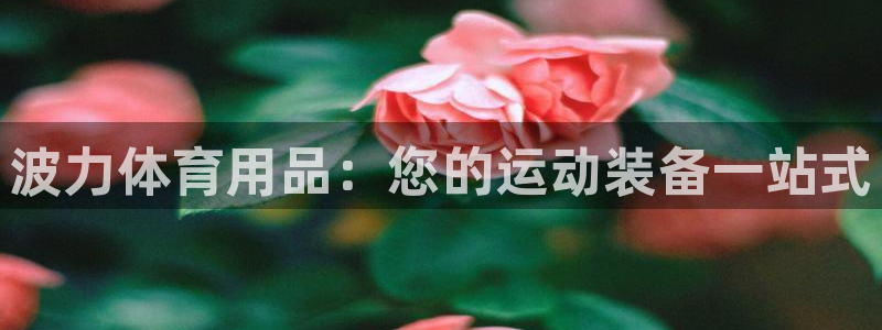 重庆欧陆娱乐有限公司怎么样：波力体育用品：您的运动装