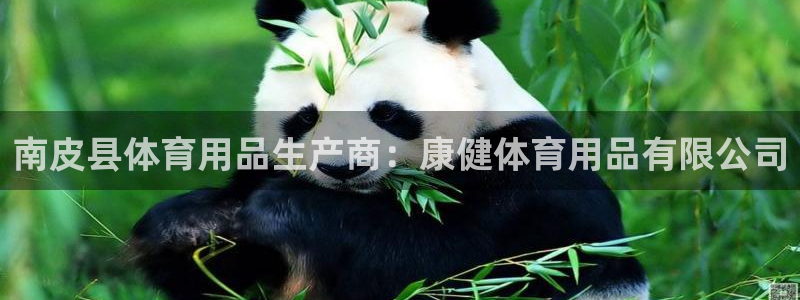 欧陆游戏平台：南皮县体育用品生产商：康健体育用品有限