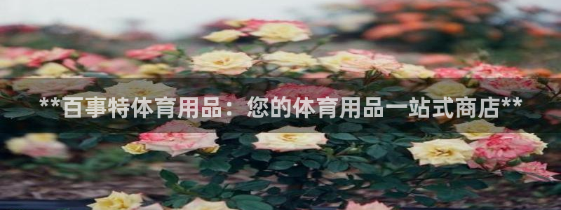 欧陆娱乐平台总代理：**百事特体育用品：您的体育用品
