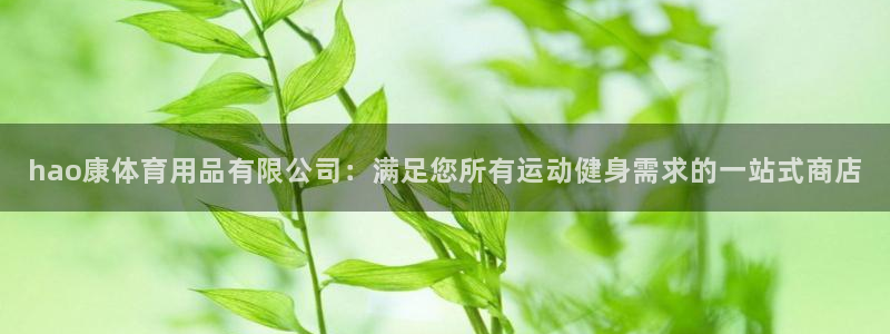 欧陆娱乐官网注册中心在哪：hao康体育用品有限公司：
